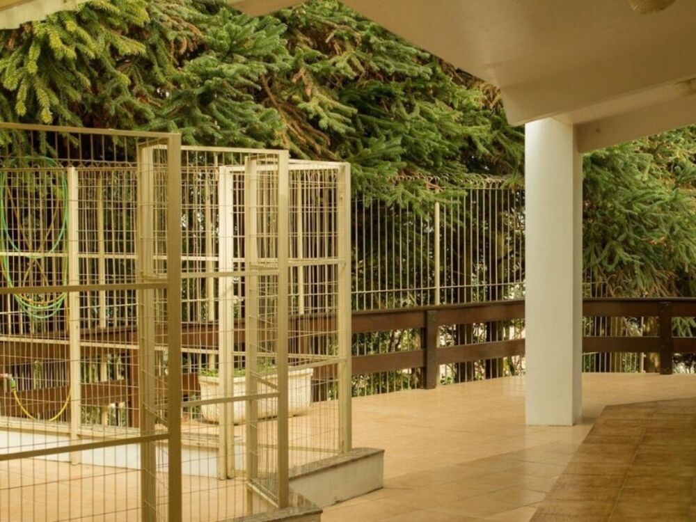 Casa, 4 quartos - Foto 7