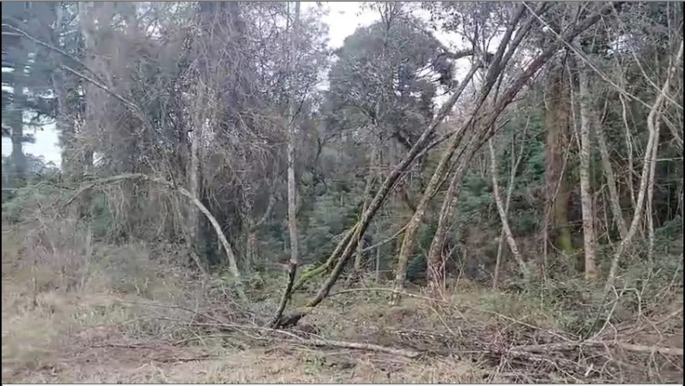 Terreno, 3000 m² - Foto 4