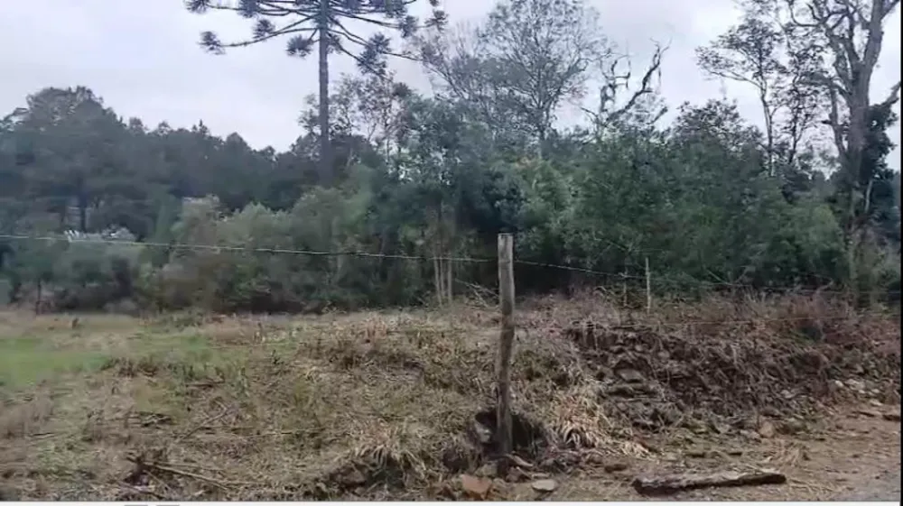 Terreno, 3000 m² - Foto 2