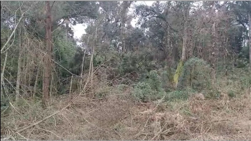 Terreno, 3000 m² - Foto 3