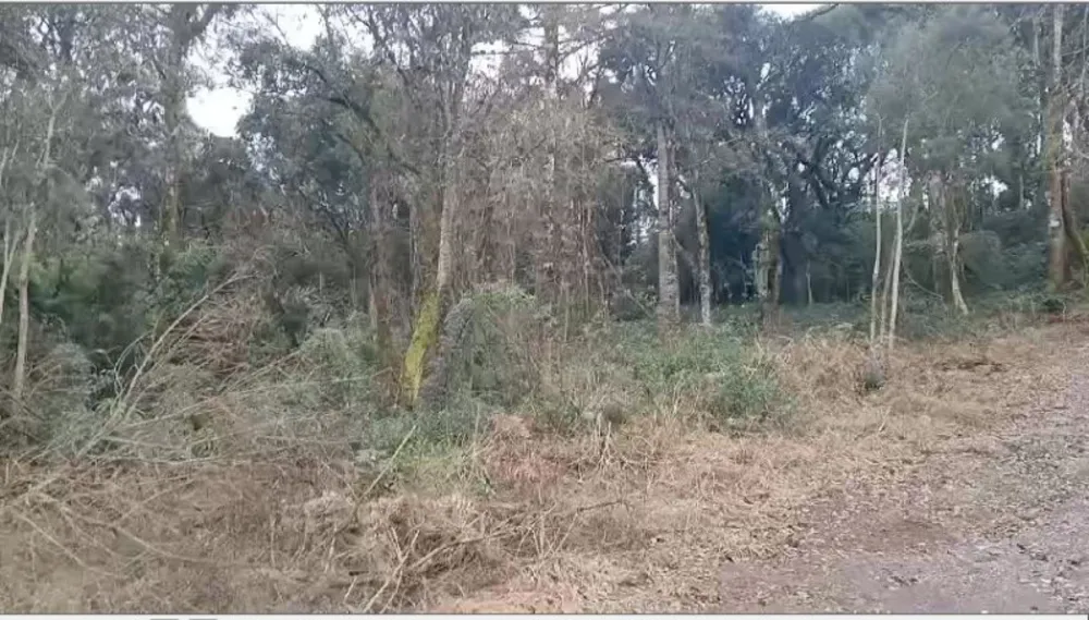Terreno, 3000 m² - Foto 1