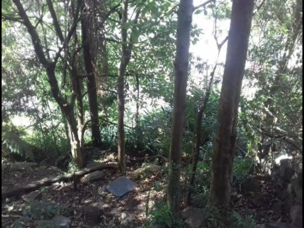 Terreno, 138 m² - Foto 6