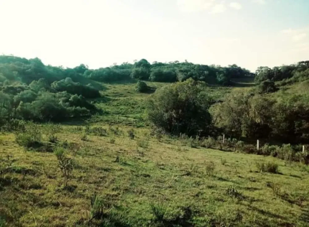 Terreno, 20000 m² - Foto 3