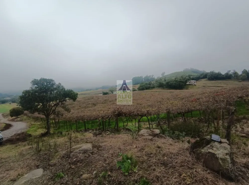 Sítio - Foto 7