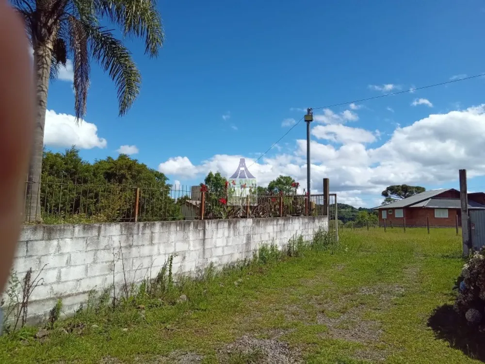 Chácara, 2 quartos, 10000 m² - Foto 7