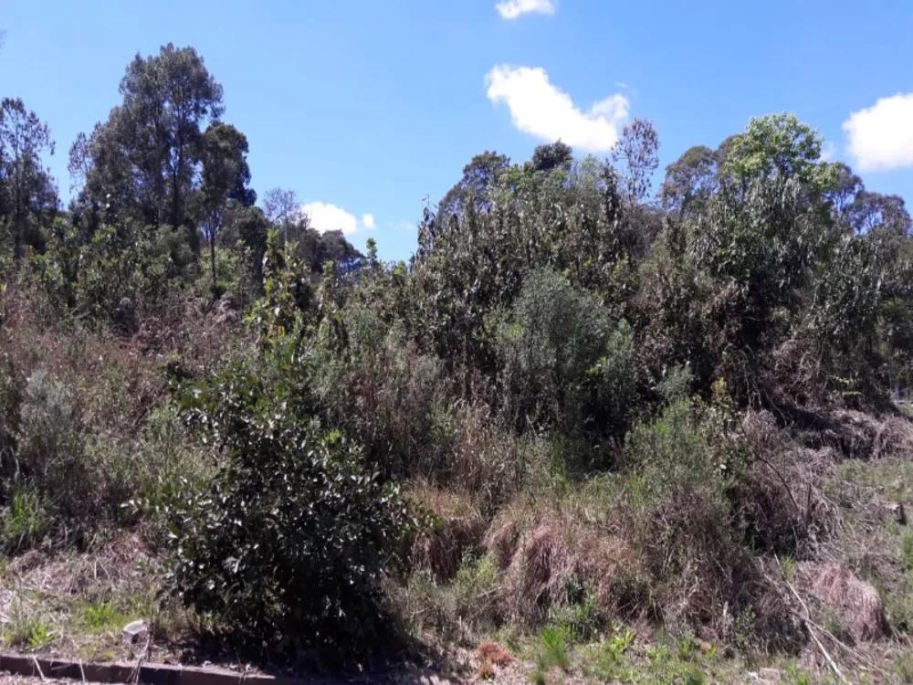 Terreno, 300 m² - Foto 1