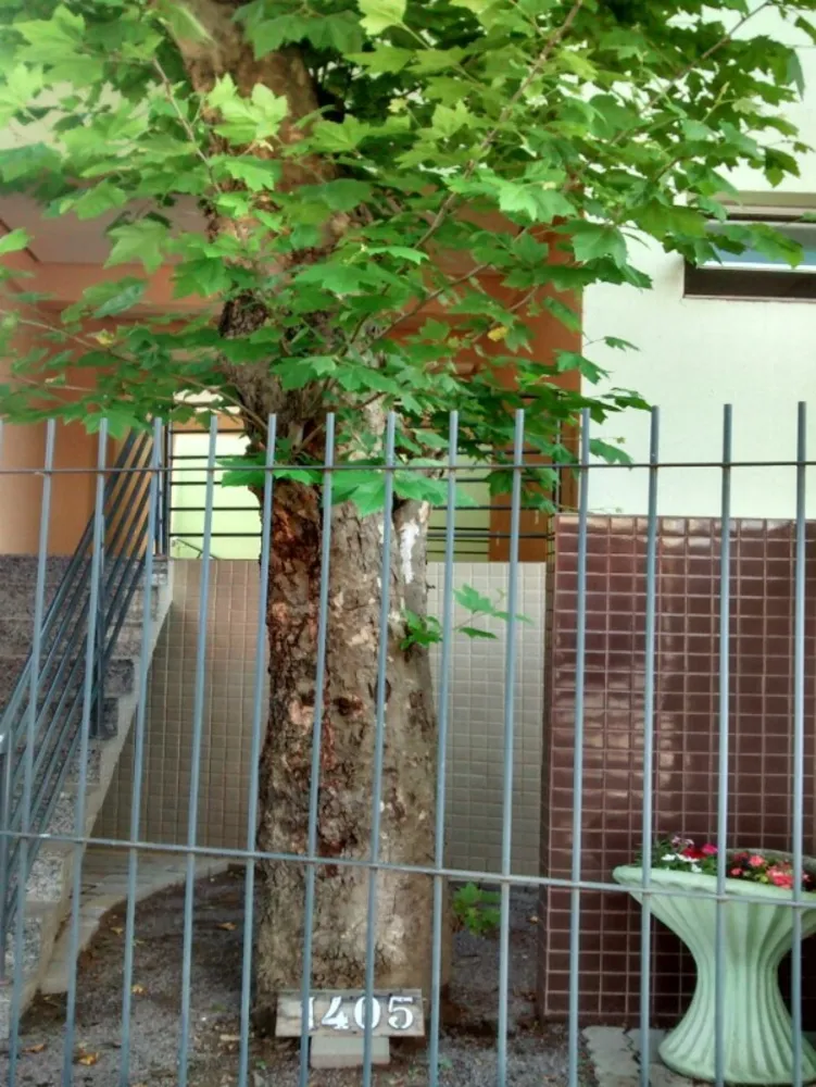 Apartamento, 2 quartos, 68 m² - Foto 12