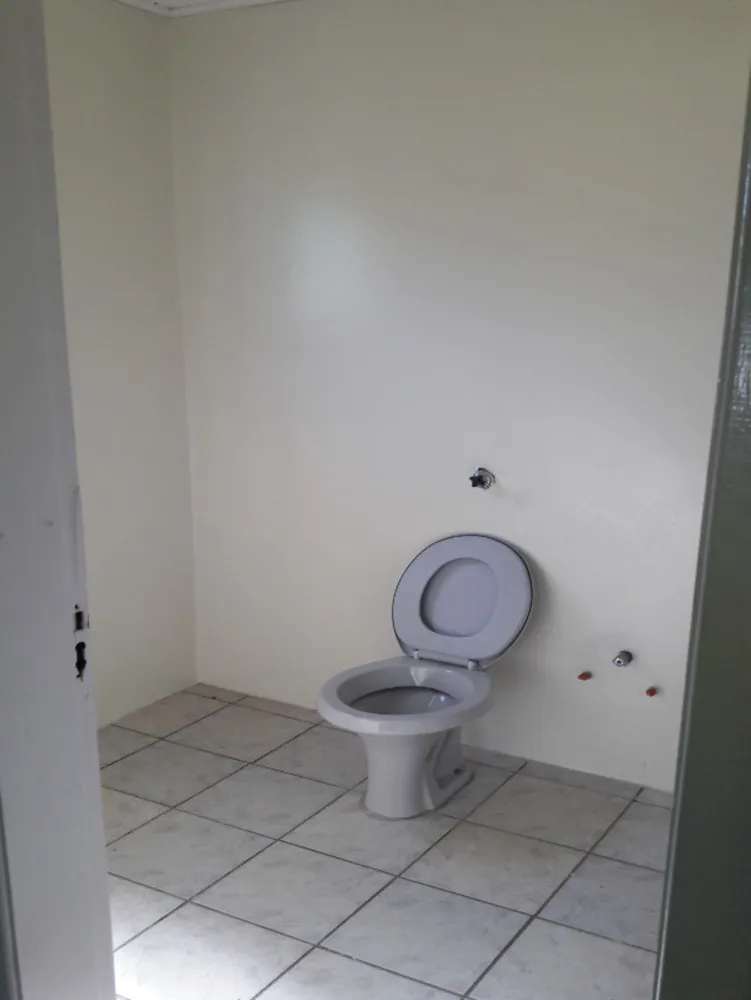 Chácara, 3 quartos, 3300 m² - Foto 4