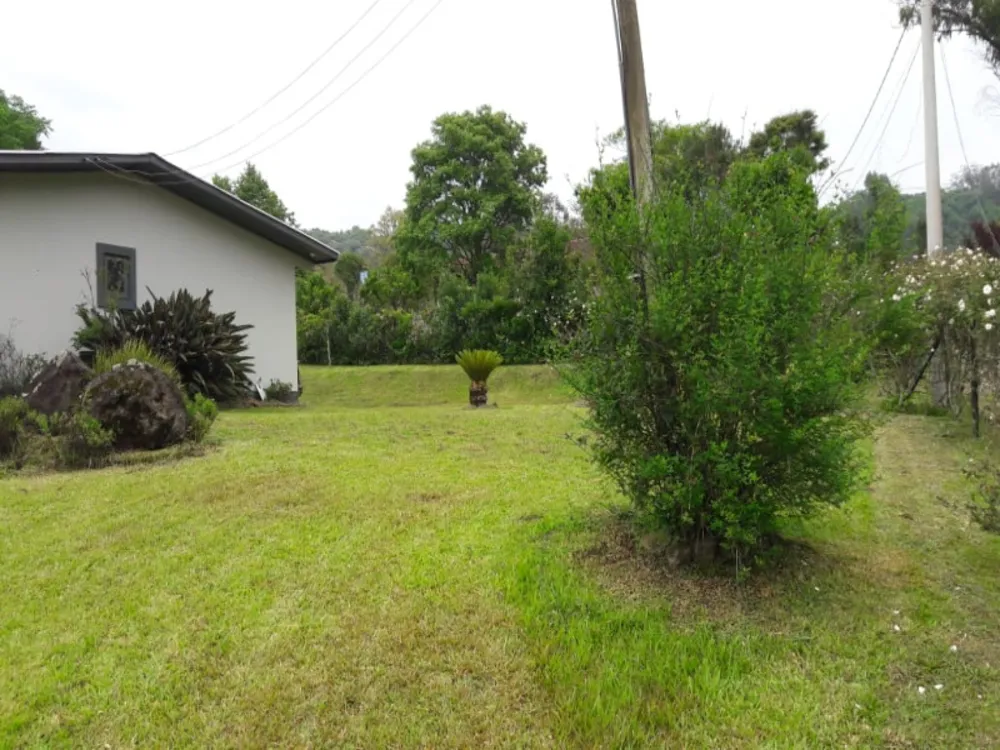 Chácara, 3 quartos, 3300 m² - Foto 5