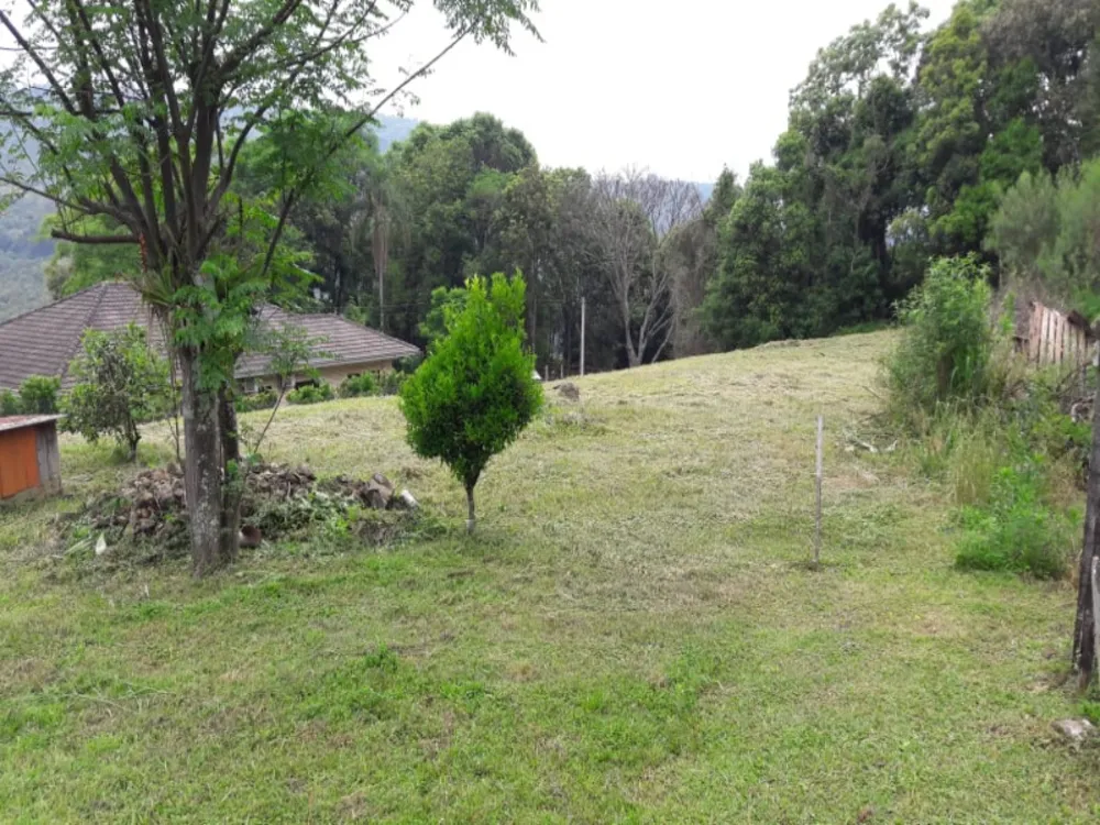 Chácara, 3 quartos, 3300 m² - Foto 6