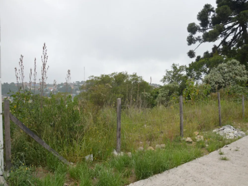 Terreno, 810 m² - Foto 4