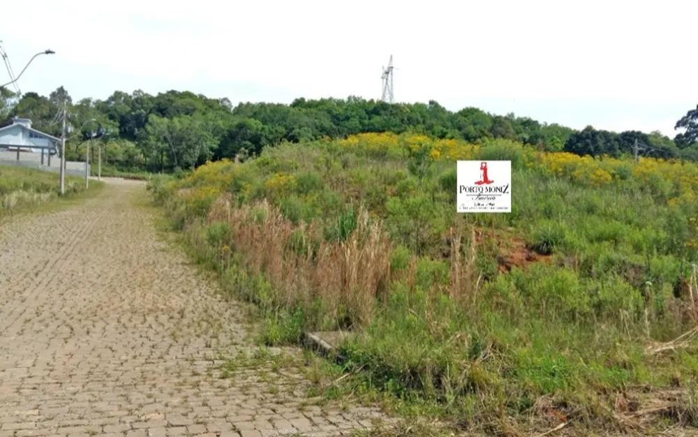 Terreno, 455 m² - Foto 2