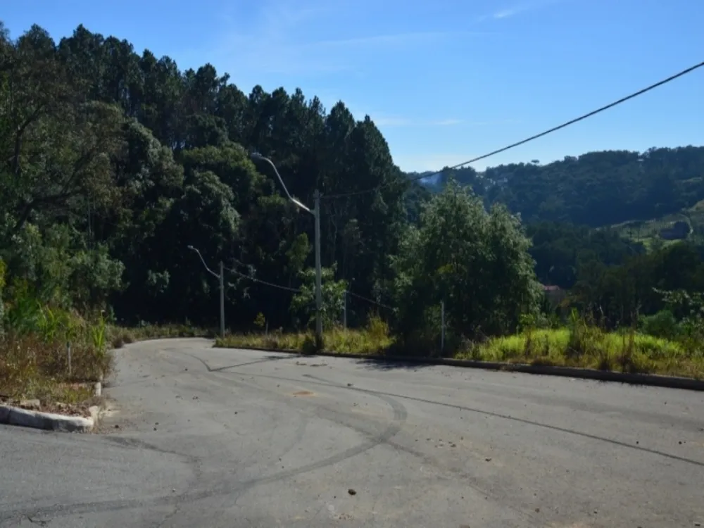 Terreno, 325 m² - Foto 4