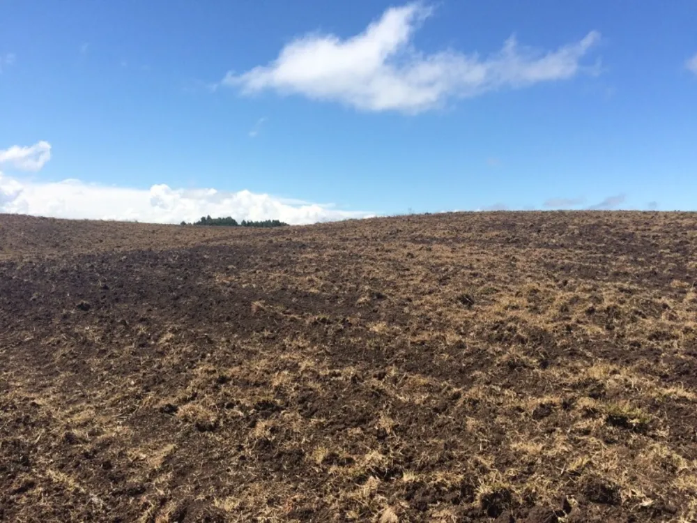 Chácara - Foto 7