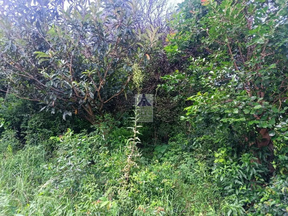Casa, 3 quartos, 199 m² - Foto 5