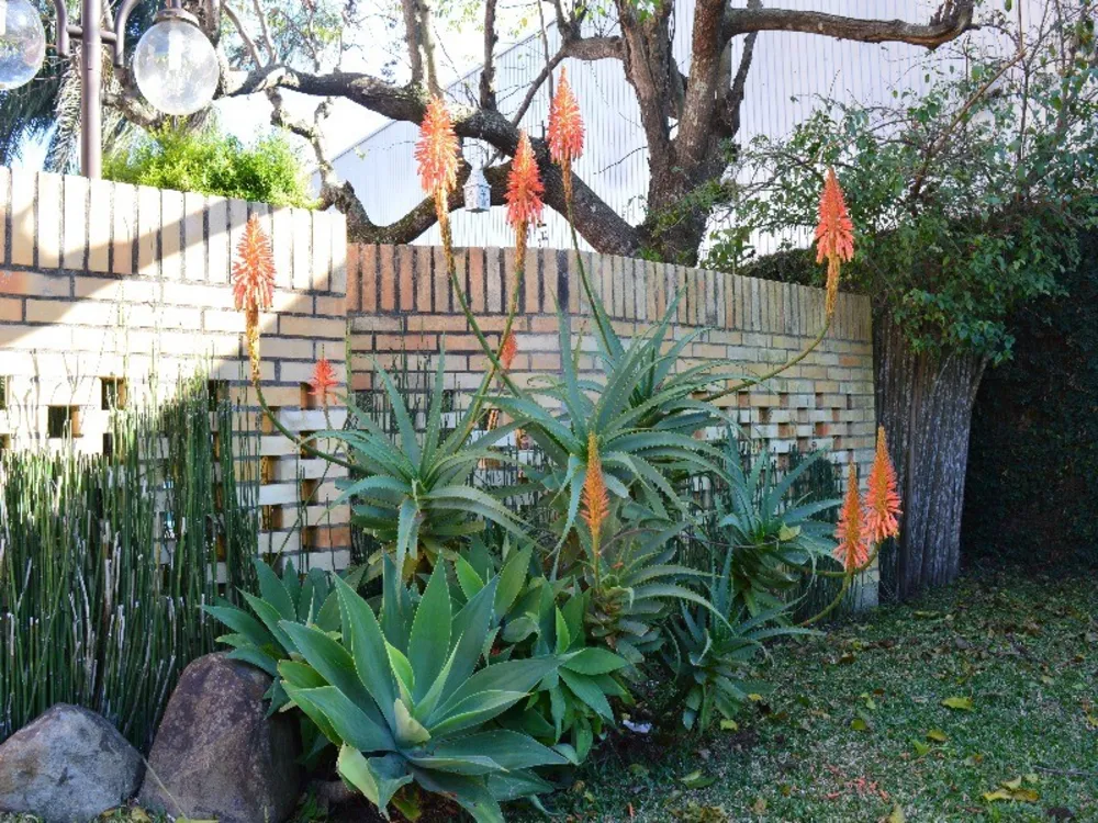 Casa, 3 quartos - Foto 11