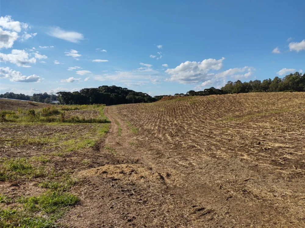 Terreno, 15 m² - Foto 2
