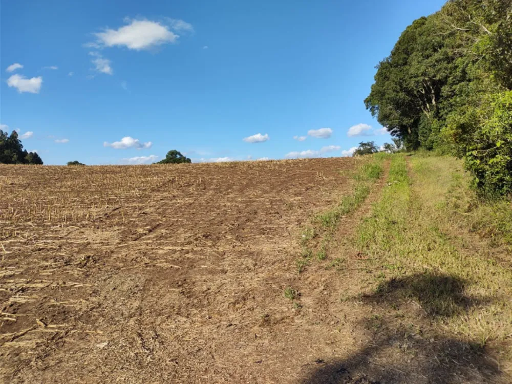 Terreno, 15 m² - Foto 4