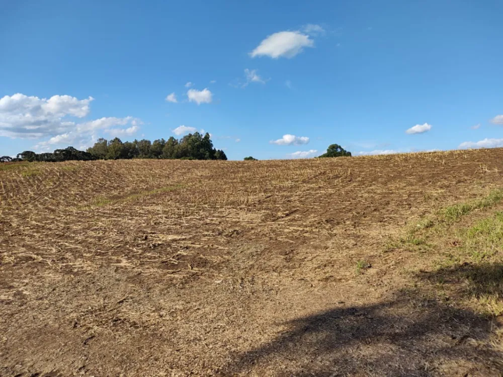Terreno, 15 m² - Foto 6