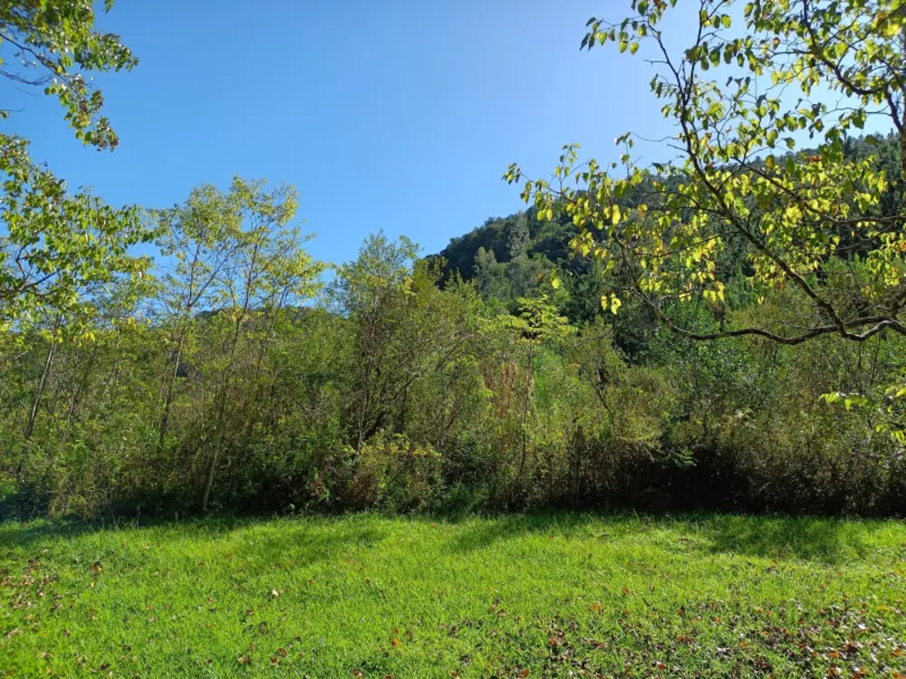 Chácara, 22 hectares - Foto 20