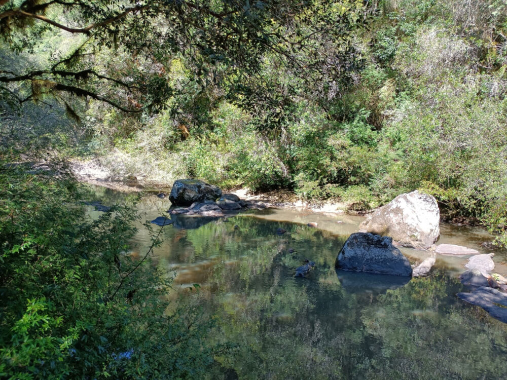 Chácara, 22 hectares - Foto 15