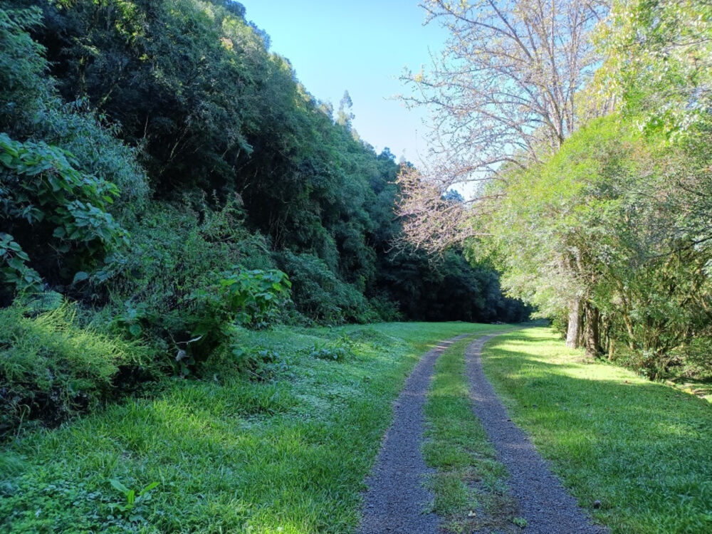 Chácara, 22 hectares - Foto 17