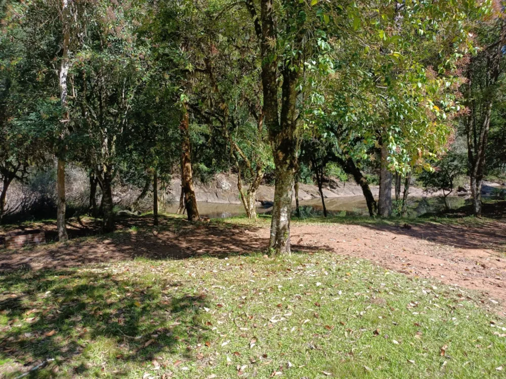 Chácara, 22 hectares - Foto 13