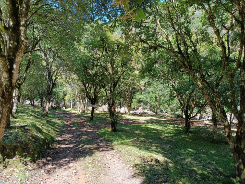 Chácara, 22 hectares - Foto 20