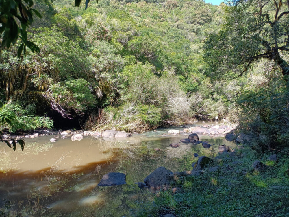 Chácara, 22 hectares - Foto 12