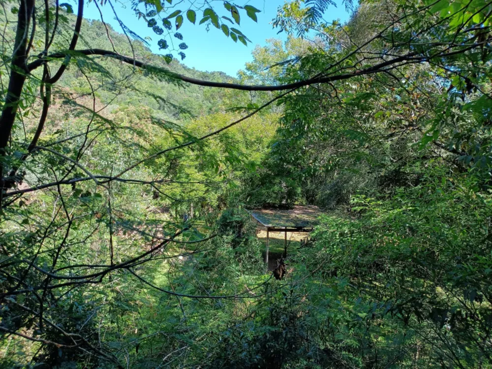 Chácara, 22 hectares - Foto 29