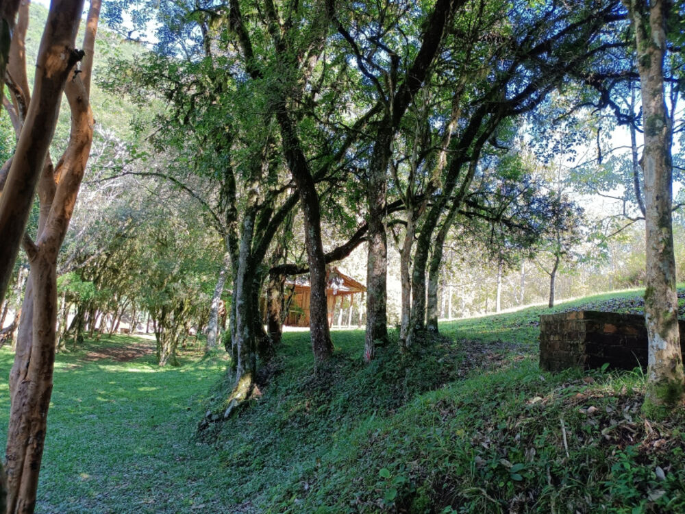 Chácara, 22 hectares - Foto 13