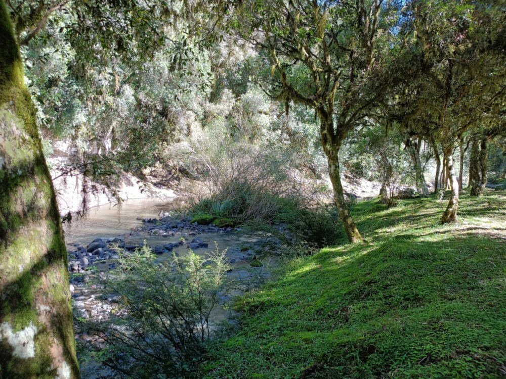 Chácara, 22 hectares - Foto 11