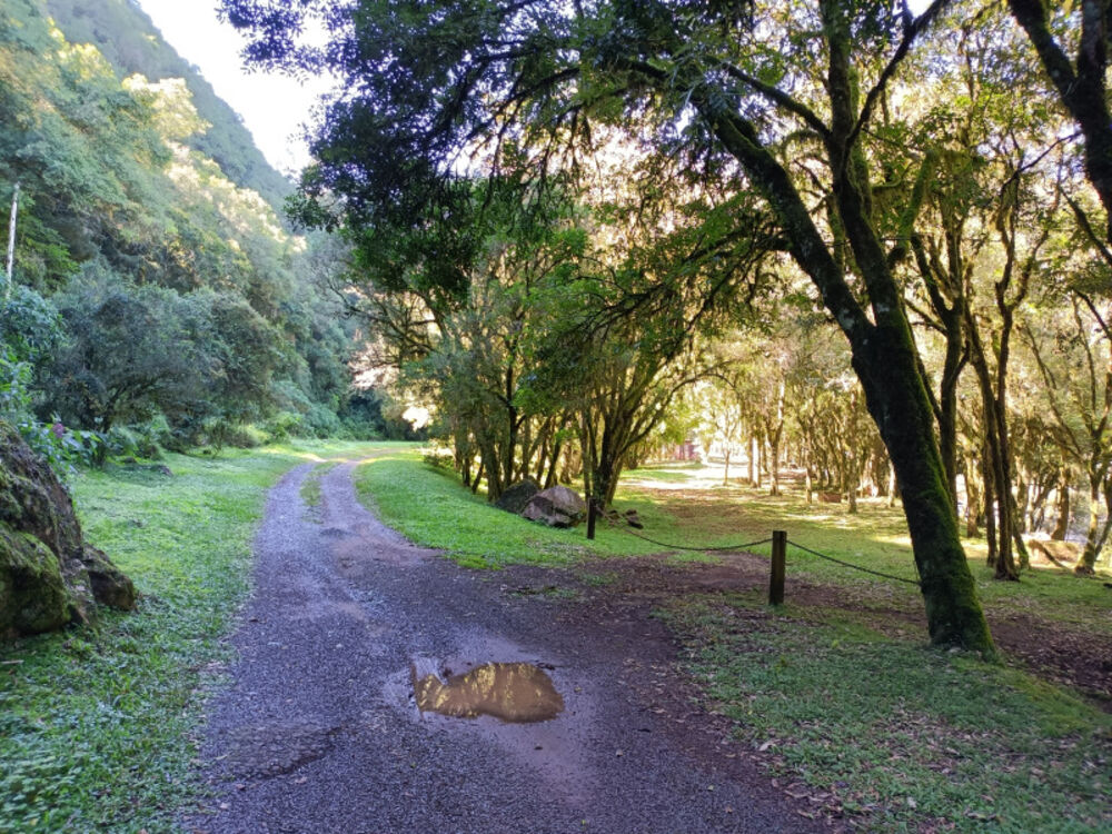 Chácara, 22 hectares - Foto 16