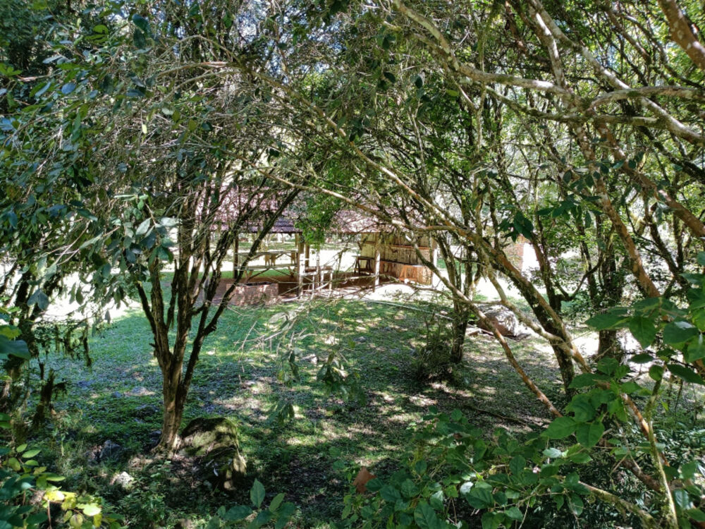 Chácara, 22 hectares - Foto 19