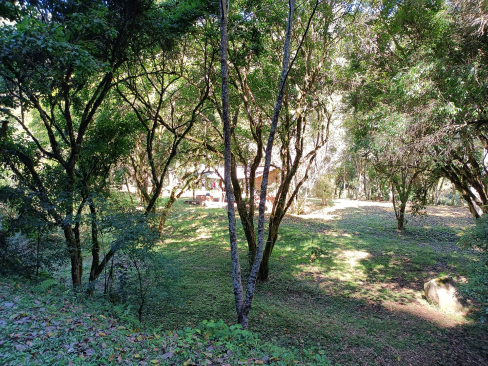 Chácara, 22 hectares - Foto 18