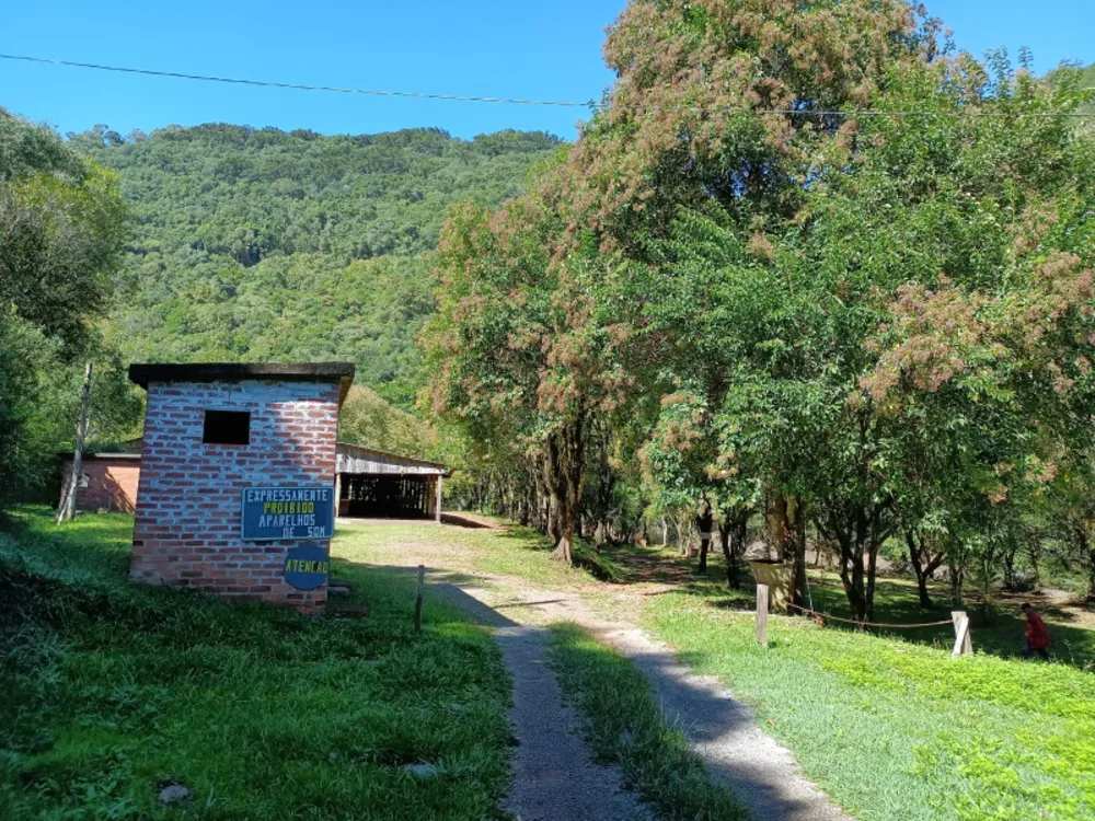 Chácara, 22 hectares - Foto 31