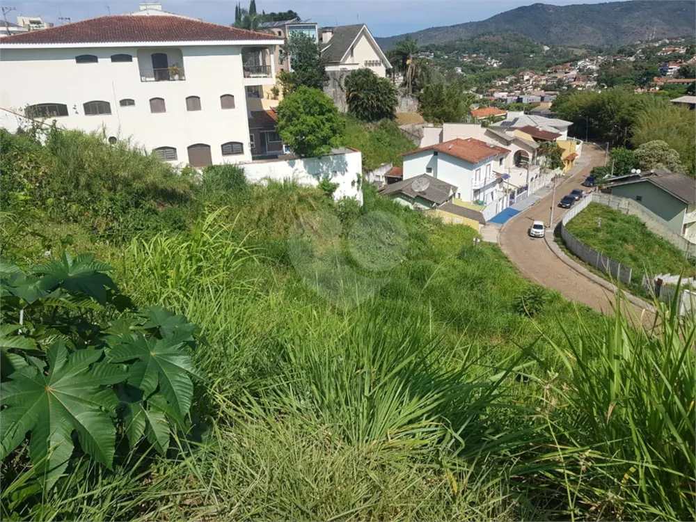 Terreno à venda, 3200m² - Foto 3