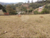 Terreno, 264 m² - Foto 5