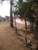 Chácara, 4 quartos, 800 m² - Foto 2