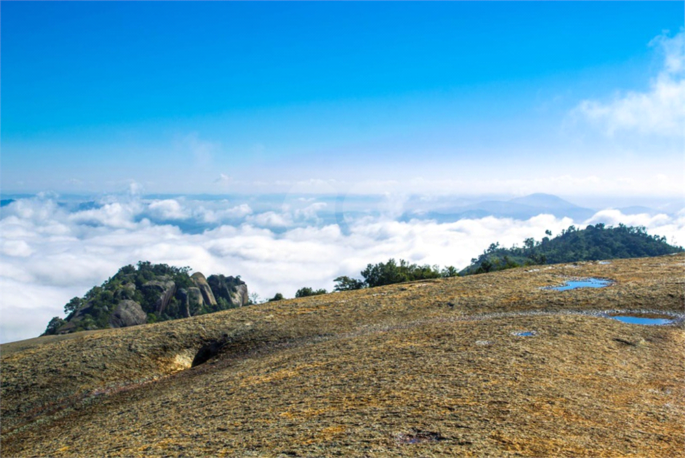 Terreno, 603 m² - Foto 28