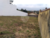 Terreno, 603 m² - Foto 4