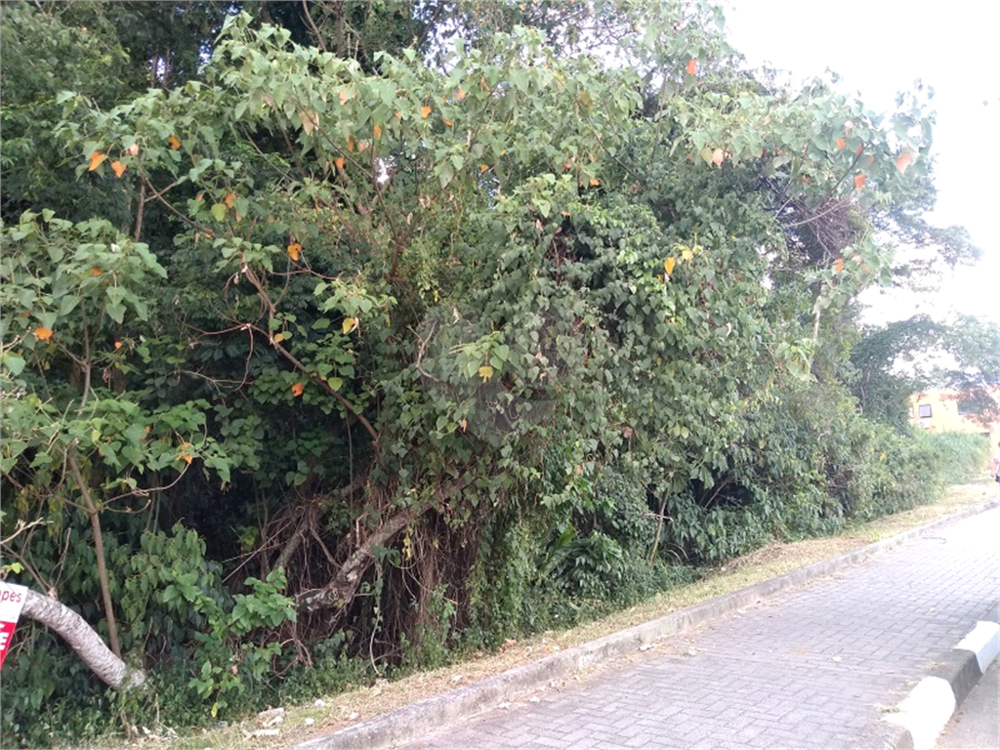 Terreno, 1238 m² - Foto 7