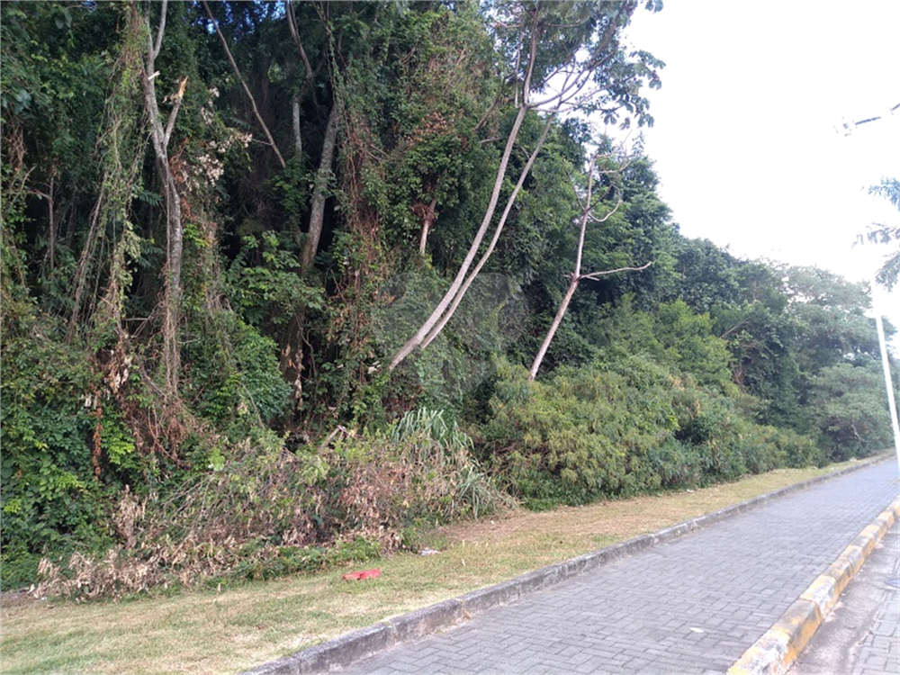 Terreno, 1238 m² - Foto 9