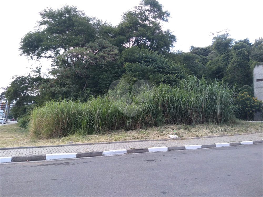 Terreno, 1238 m² - Foto 6