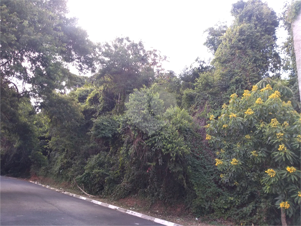 Terreno, 1238 m² - Foto 3