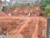 Terreno, 170 m² - Foto 2