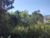 Terreno, 560 m² - Foto 1