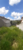 Terreno, 370 m² - Foto 5