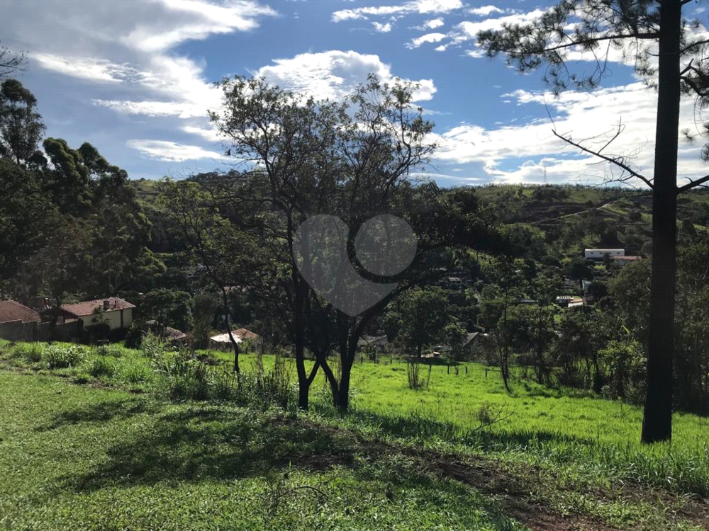 Terreno, 3006 m² - Foto 4