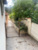 Casa, 4 quartos, 209 m² - Foto 9